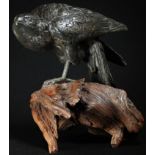 Japanese School (Meiji period), a dark patinated bronze, of an eagle, 19cm high, rootwood base