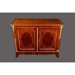 A 19th century mahogany and parcel-gilt collector's cabinet, moulded rectangular top above a pair of