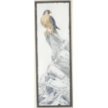 Pollyanna Pickering (1942 - 2018) Grey Phase Gyr Falcon signed, watercolour, 78cm x 36cm