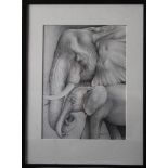 Peter Samson A Mother and Her Calf Signed, fine pencil, 31cm x 22.5cm