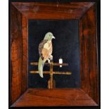 A pietra dura rectangular plaque, inlaid in specimen stones with a parrot on a perch, 22.5cm x 16.