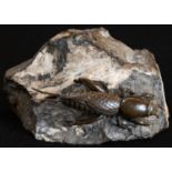 An early 20th century bronze mounted novelty desk weight, as a locust on an agate boulder, 10cm wide