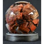 Natural History - Dendrology - a globular desk weight, containing samples of fossilised wood,