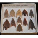 Antiquities - Stone Age, five North African fan-eared flint arrowheads, various hues and sizes,