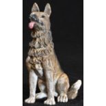An Austrian cold painted bronze, of a German shepherd dog, seated, with tongue protruding, 7cm high,