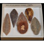 Antiquities - Stone Age, five large North African flint blades, various hues and sizes, Neolithic,