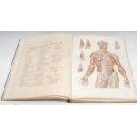 Medical, Anatomy - Bock (Prof. Dr. C.E.), Atlas of Human Anatomy, with Explanatory Text,
