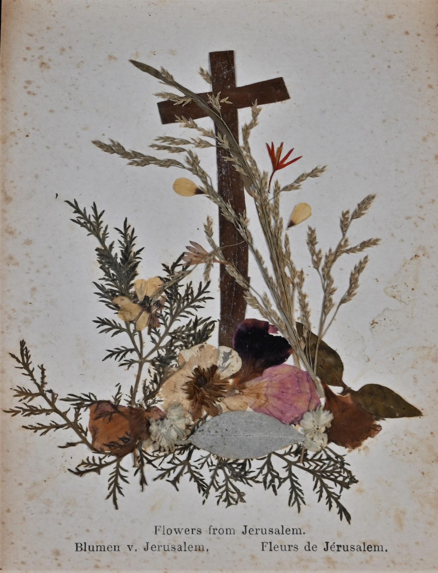 An early 20th century olive wood Grand Tour 'herbarium'. Flowers from the Holy Land, published by - Image 4 of 6