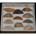 Antiquities - Stone Age, eleven North African flint crescent blades or sickles, various hues and