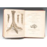 Geology - Palaeontology, Mantell (Gideon Algernon, Esq., LL.D.., F.R.S.), A Pictorial Atlas of