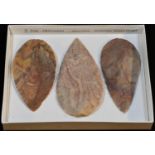 Antiquities - Stone Age, three North African flint leaf-shaped spearheads, the largest 10cm long,