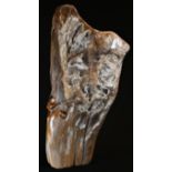 Natural History - Geology, Paleontology - a fossilized wood, of sculptural form, 39cm high