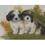 B** Harris (20th century) Cute Puppies signed, oil on board, 38cm x 48cm