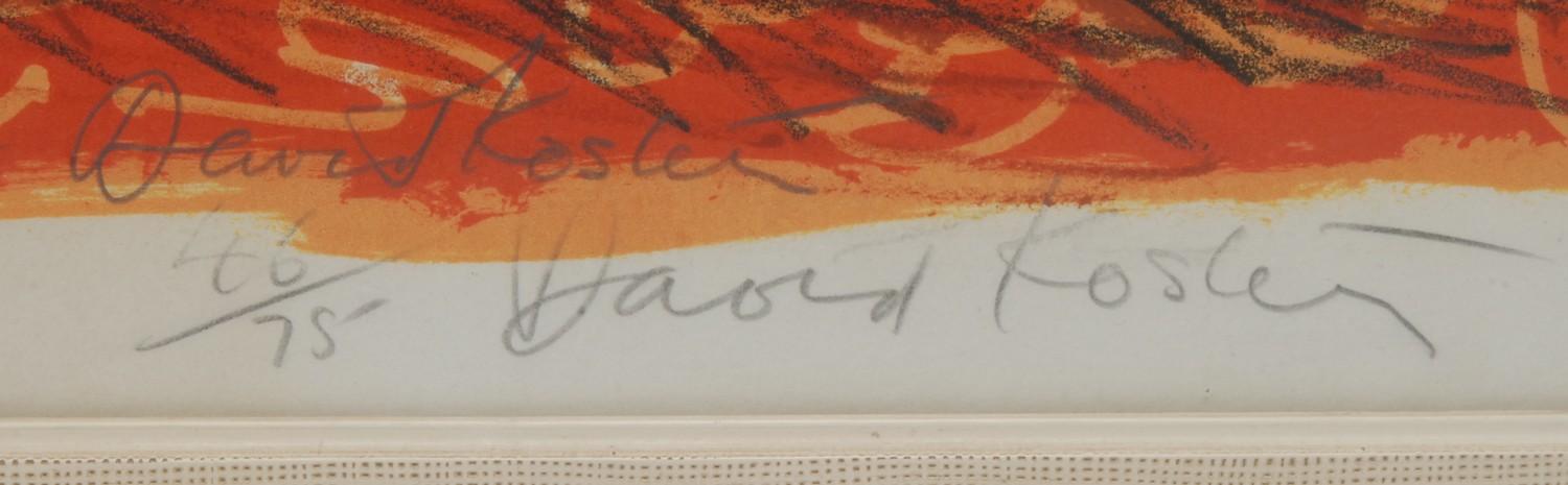 David Koster, by and after, Pheasants, signed in pencil, coloured print, limited edition 46/75 - Image 2 of 2