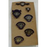 A collection of seven British Legion enamelled badges