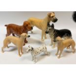 Beswick dog models - Champion of Oubrough; Champion Ulrika of Brittas; whippet 1786A; another