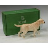 A Royal Doulton model of a Golden Labrador, boxed
