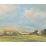N Dinnegan Looking to the South Downs inscribed to verso, oil on board, 48cm x 58cm