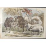 A 19th century engraving, Prize Cattle and Sheep at the Royal Agricultural Society Show at