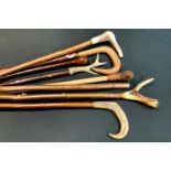 Walking Sticks - A carved Pheasant head handled walking stick; others, stags horn, shepherds