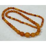 A strand of graduated butterscotch amber beads, approximately 62g gross