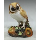 A Royal Crown Derby model of a Barn Owl, naturalistically modelled and painted, 26cm, printed