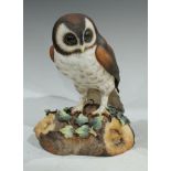 A Royal Crown Derby model of a Brown Owl, naturalistically modelled and painted, 26cm, printed mark,