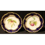 A pair of English porcelain shaped circular botanical plates, the centres painted with fruit, cobalt