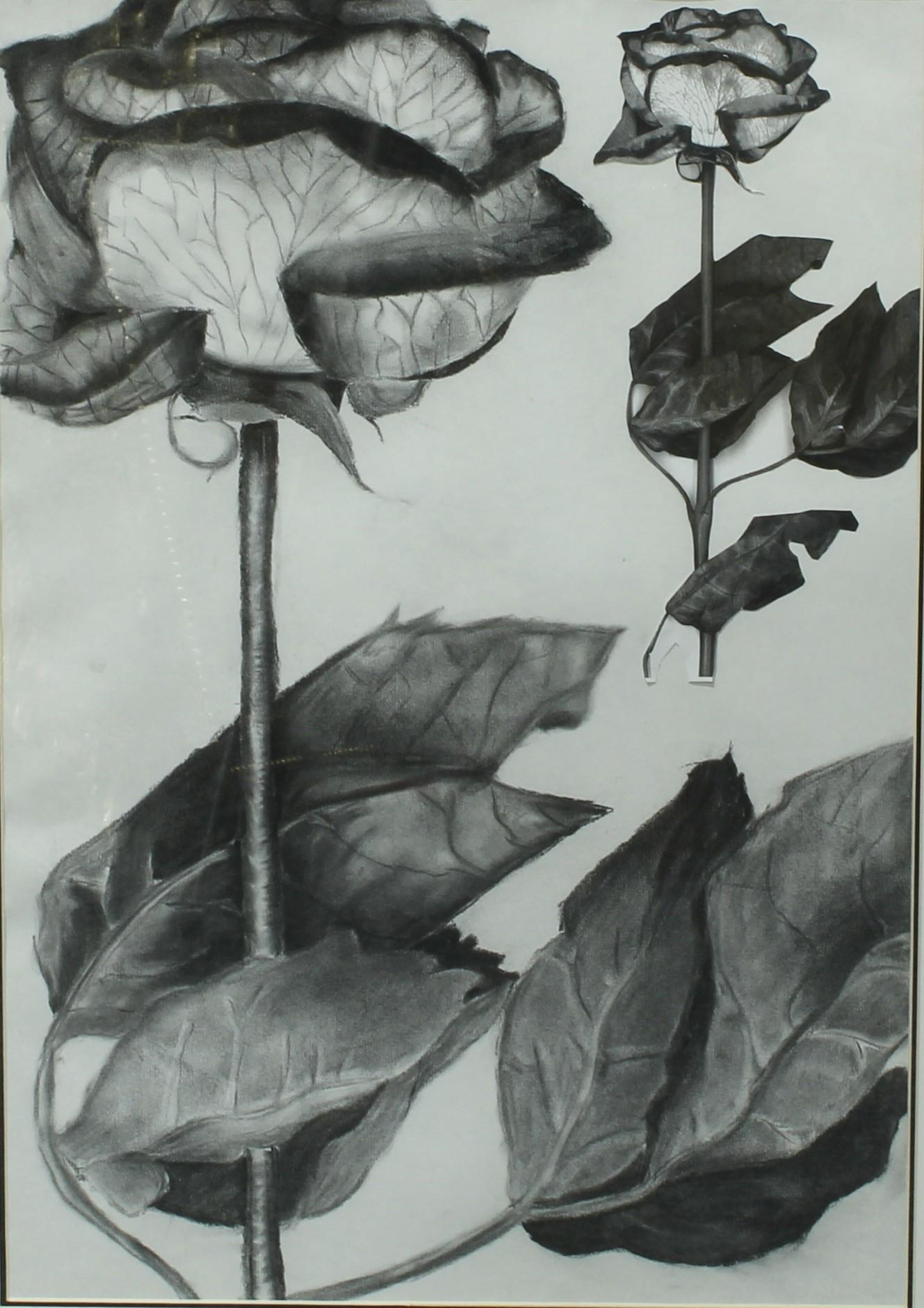 Contemporary School Botanical Study, of a Rose monochrome charcoal and collage on paper, 57cm x - Image 3 of 4