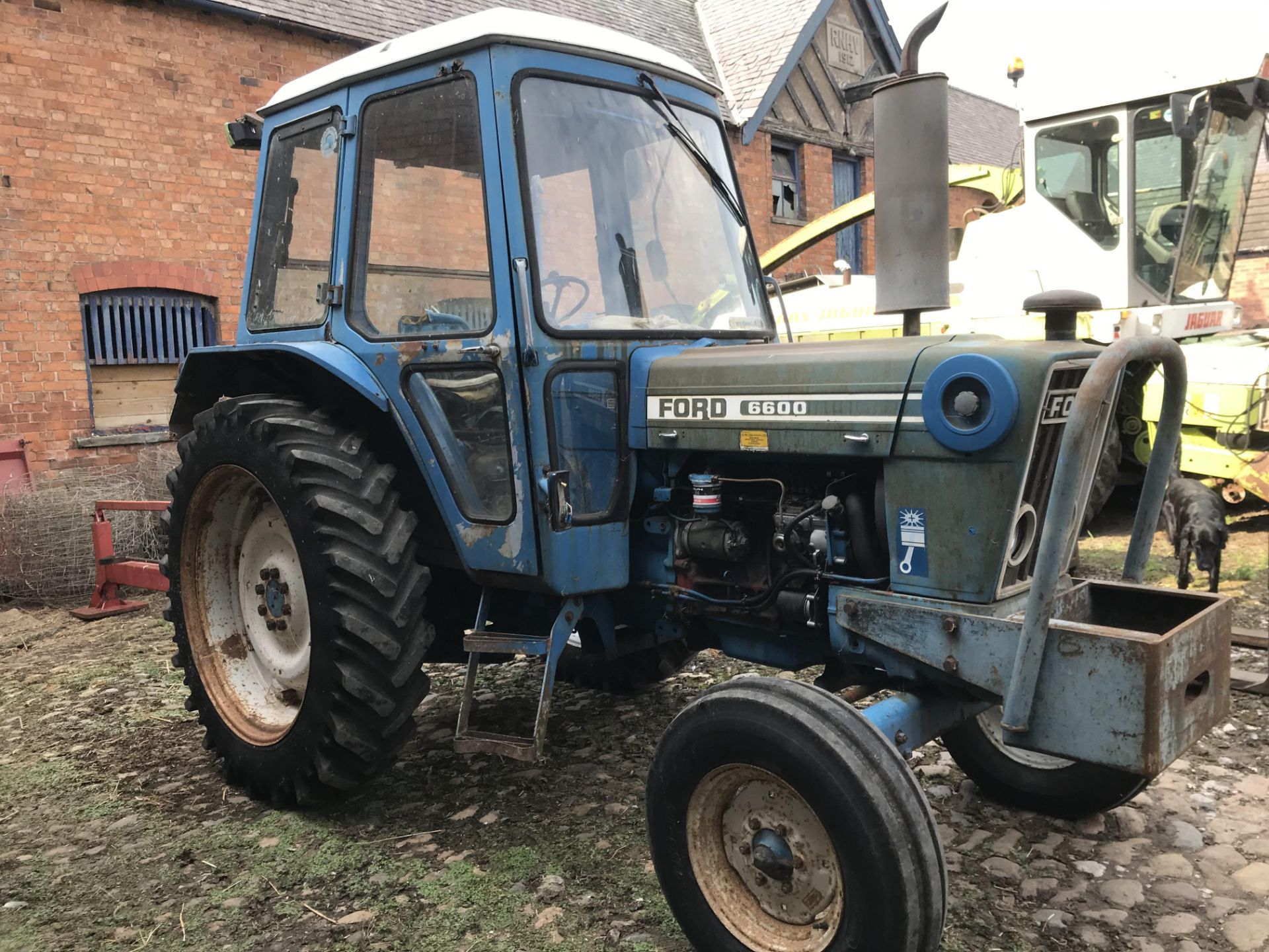 1981 Ford 6600 (RBF 787W) 11,200 hours - Image 4 of 6