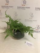 Artificial Plant Pot