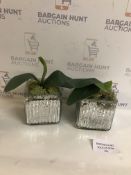 Artificial Plants, Set of 2