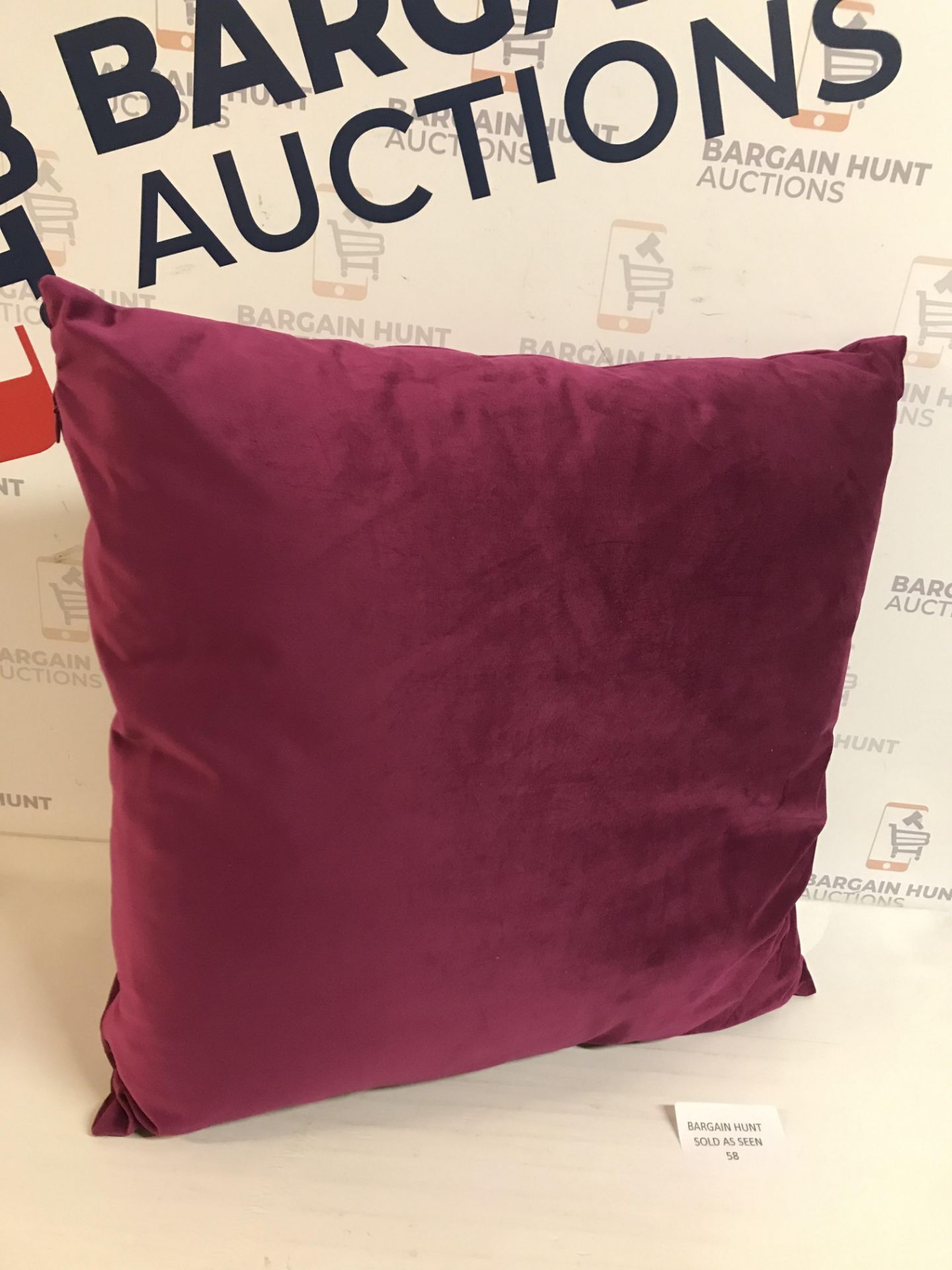 Velvet Cushion