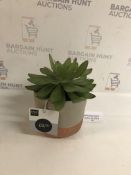 Artificial Succulent In Metallic Pot