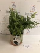 Artificial Fern in Striped Pot