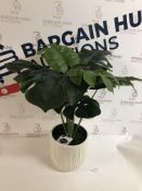 articial Cheese Plant in Glazed Pot RRP £39.50