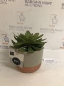 Artificial Succulent In Metallic Pot