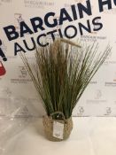 Artificial Foxtail Grass In Basket RRP £25