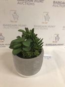 Artificial Plant in Ceramic Pot