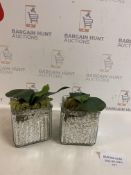 Set of 2 Artifcial Plant