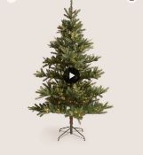 7ft Lit Noble Christmas Tree RRP £140