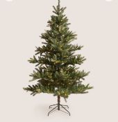 7ft Lit Noble Christmas Tree RRP £140