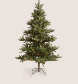 7ft Lit Noble Christmas Tree RRP £140