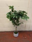 Artificial Ficus Tree RRP £59
