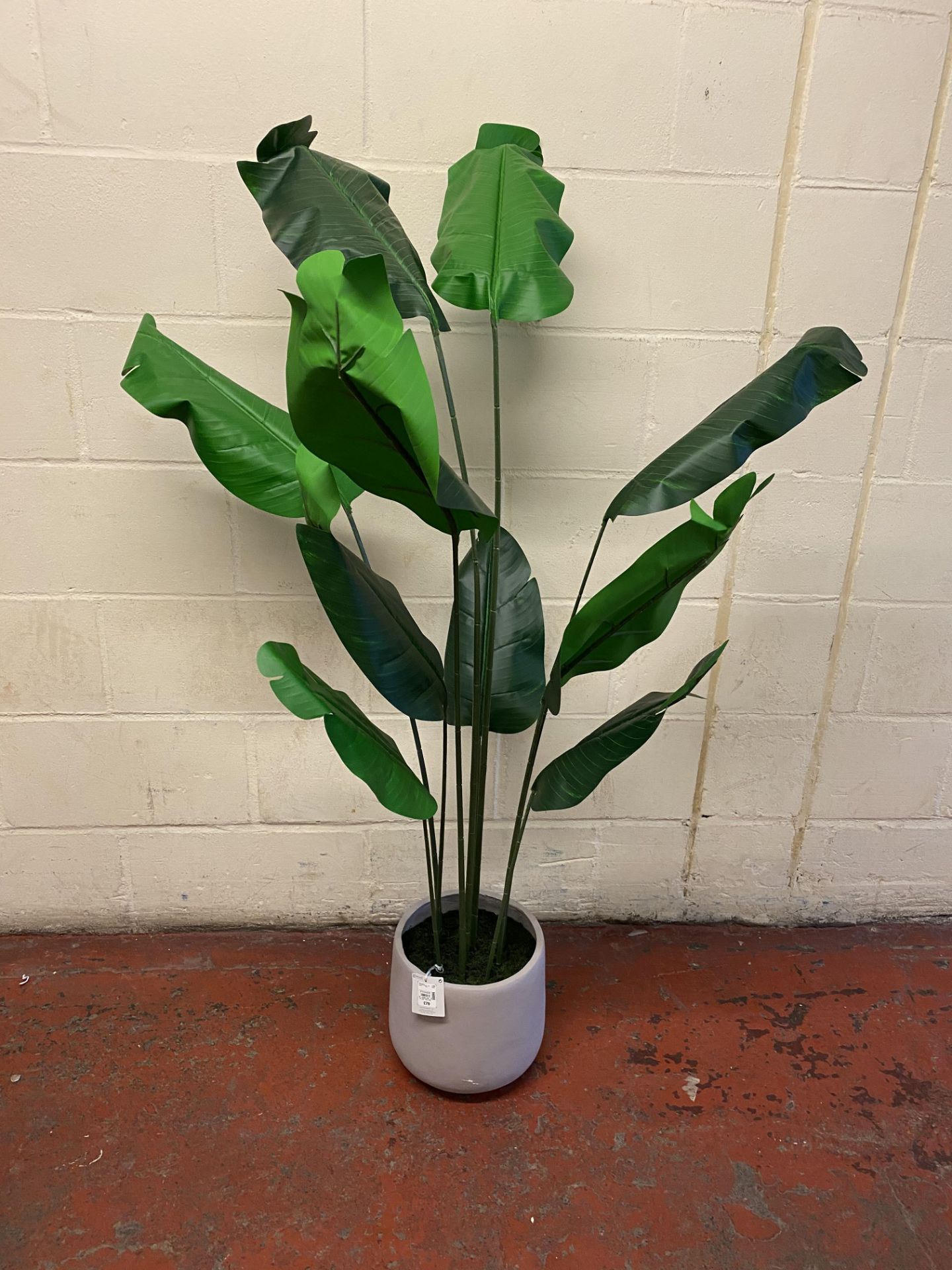 Floor Standing Banana Leaf Faux Plant RRP £79