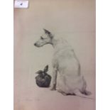 3 vintage dog prints (all around 35 x 40) cm