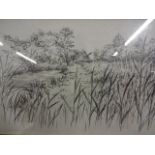 Anthony day signed pencil sketch of Sedge Fen Walk (65 x 50)cm