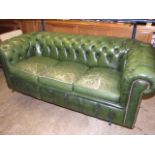 Chesterfield Green Leather 3 seater Sofa