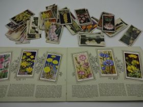 Album of Wills cigarette cards of wild flowers plus quantity of loose cards including Players,