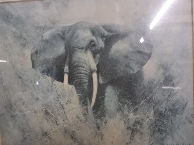 2 David Shepherd signed elephant prints (largest is 50 x 48)cm, plus marquetry elephant picture